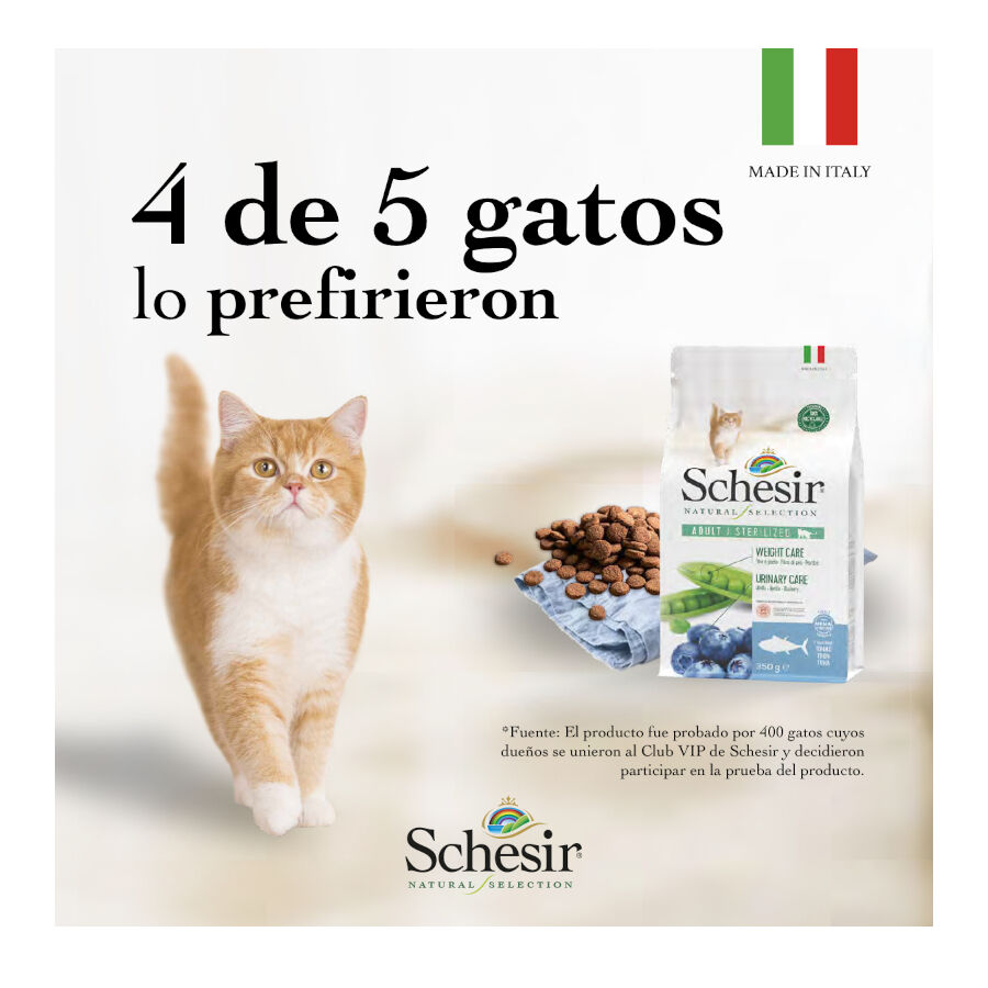 1.4 kg Schesir Adult Natural Selection Boi ra&ccedil;&atilde;o para gatos, , large Imagem n&uacute;mero 6