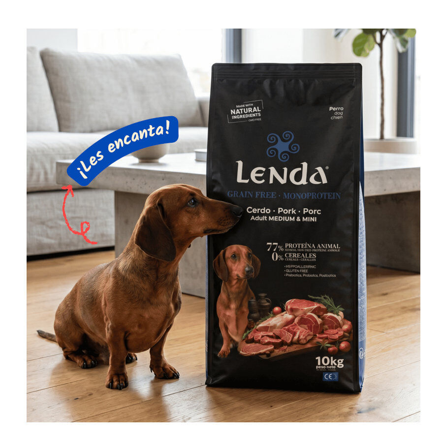 2 Kg Lenda Grain Free Ra&ccedil;&atilde;o de Porco para c&atilde;es, , large Imagem n&uacute;mero 5