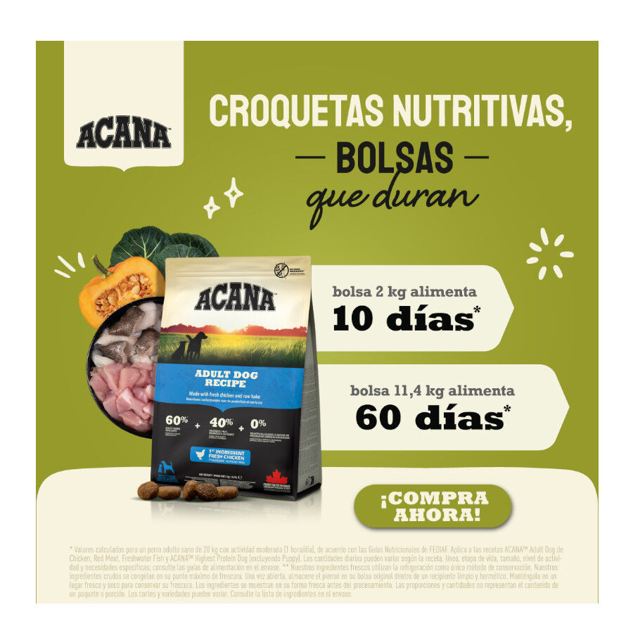 17 kg Acana Adult  ra&ccedil;&atilde;o para c&atilde;es, , large Imagem n&uacute;mero 9