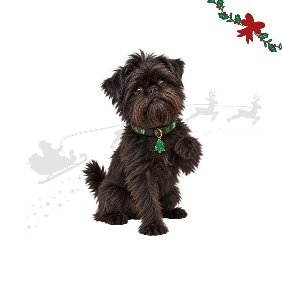 Wonder Christmas Pendente para coleira &Aacute;rvore de Natal para c&atilde;es, , large Imagem n&uacute;mero 1