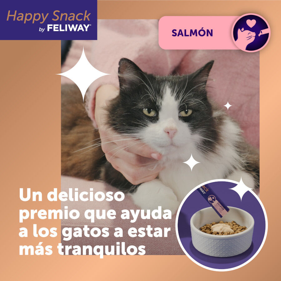 6 barritas Feliway Ceva Happy Snacks de Salm&atilde;o para gatos, , large Imagem n&uacute;mero 2