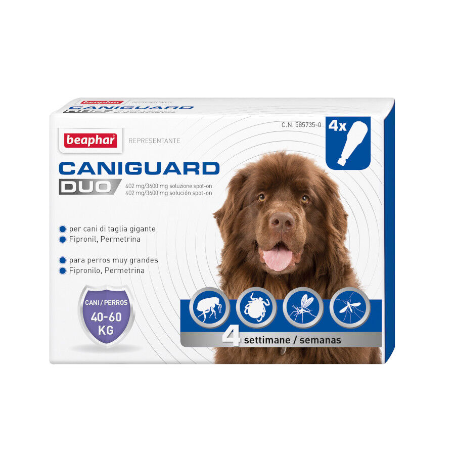 Beaphar Caniguard Duo Pipetas Antiparasit&aacute;rias para c&atilde;es muito grandes, , large Imagem n&uacute;mero 1