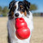 Kong Bounzer Brinquedo vermelho para cães, , large Indicador imagem número 2