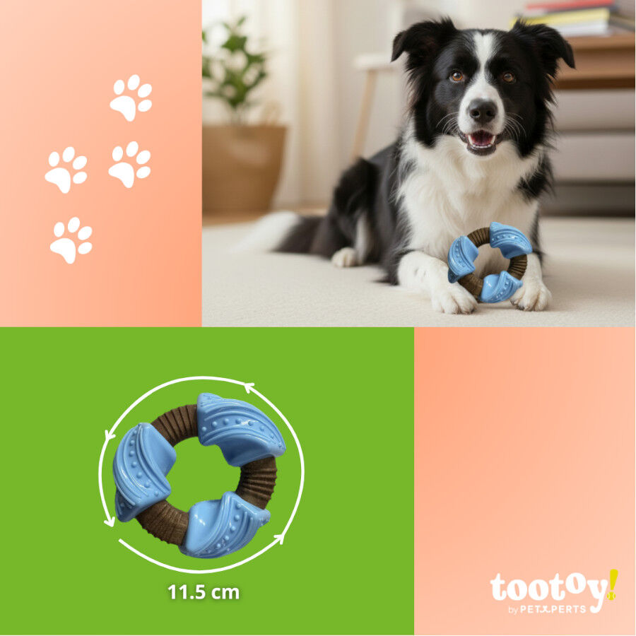 Tootoy! Chew Mordedor anel dent&aacute;rio para c&atilde;es, , large Imagem n&uacute;mero 4