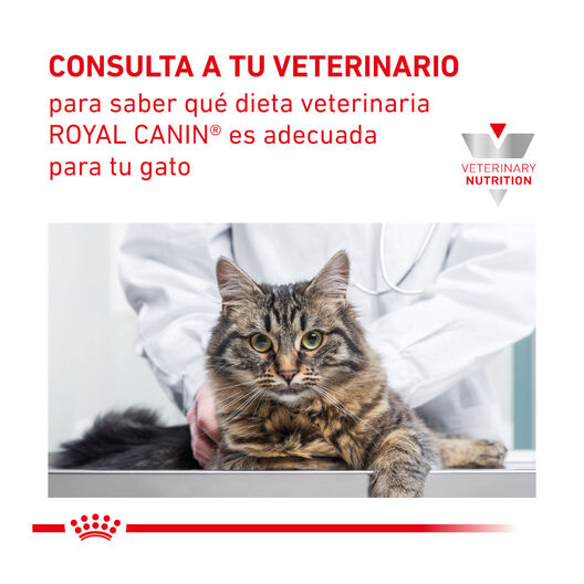 Royal Canin Veterinary Renal ração para gatos , , large image number null