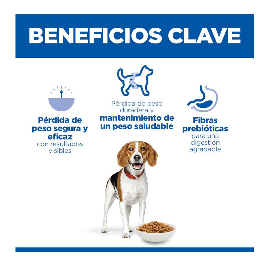 12 kg Hill's Science Plan Perfect Weight Adult Medium Frango ra&ccedil;&atilde;o para c&atilde;es, , large Imagem n&uacute;mero 3
