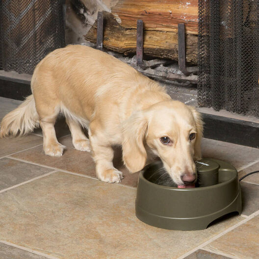Petsafe Drinkwell® Bebedouro Automático para cães e gatos, , large image number null