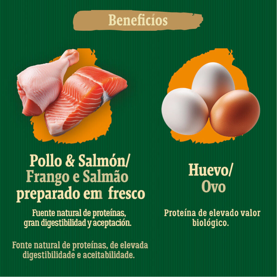 12 kg True Origins Wild Adult Country Water Frango e Salm&atilde;o ra&ccedil;&atilde;o para c&atilde;es, , large Imagem n&uacute;mero 5