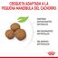 15 kg Royal Canin Puppy Maxi ração para cães, , large Indicador imagem número 4