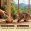 70 g True Origins Wild Comida h&uacute;mida de Atum com Mexilh&otilde;es em lata para gatos, , large Indicador imagem n&uacute;mero 3