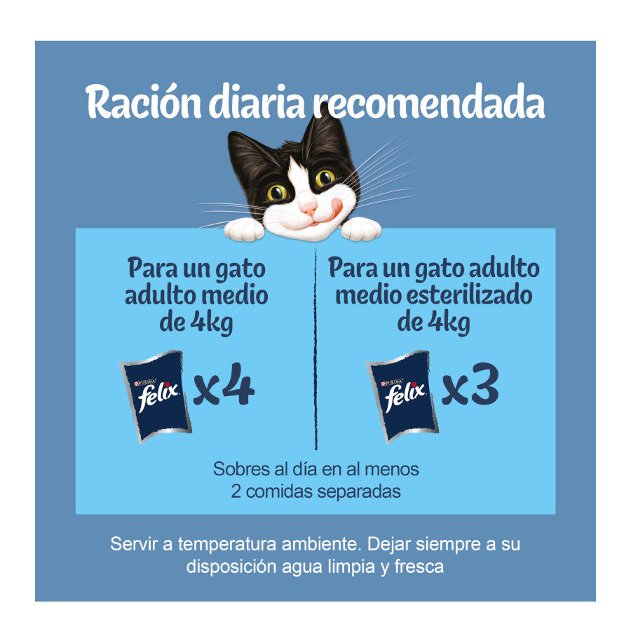 12 saquetas x 85 g Felix Sensations Sele&ccedil;&atilde;o de Peixes saquetas em galeia, , large Imagem n&uacute;mero 3