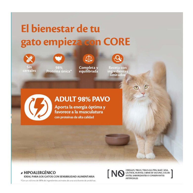 85 g Wellness Core peru terrina para gatos,  Imagem número 2 85 g Wellness Core peru terrina para gatos, , large Imagem número 2