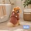 Bloob Teddy Roup&atilde;o de Banho Castanho para c&atilde;es, , large Indicador imagem n&uacute;mero 2