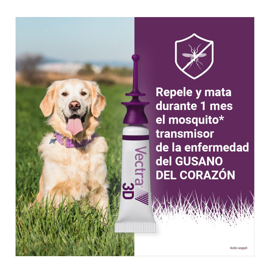 Vectra 3D Pipetas Antiparasit&aacute;rias para c&atilde;es, , large Imagem n&uacute;mero 8