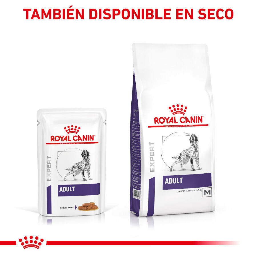 12 saquetas x 100 g Royal Canin Expert Adult Saqueta em Molho para c&atilde;es, , large Imagem n&uacute;mero 5