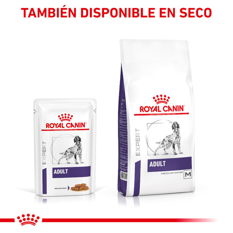 12 saquetas x 100 g Royal Canin Expert Adult Saqueta em Molho para cães,  Imagem número 5 12 saquetas x 100 g Royal Canin Expert Adult Saqueta em Molho para cães, , large Imagem número 5
