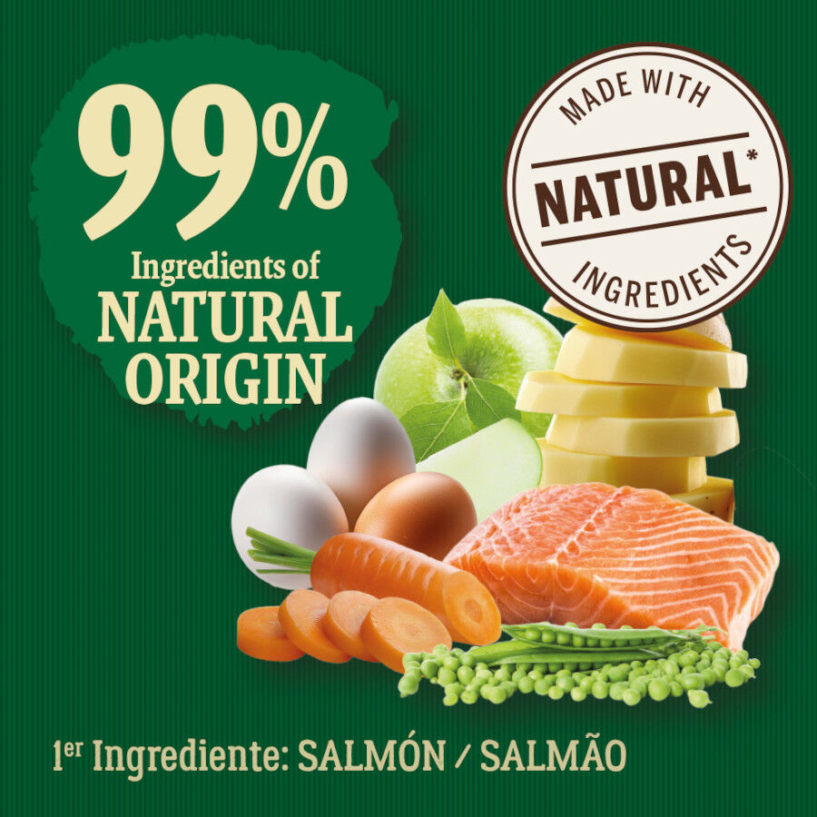 2 kg True Origins Wild Pacific Salm&atilde;o ra&ccedil;&atilde;o para gatos s&eacute;nior, , large Imagem n&uacute;mero 3