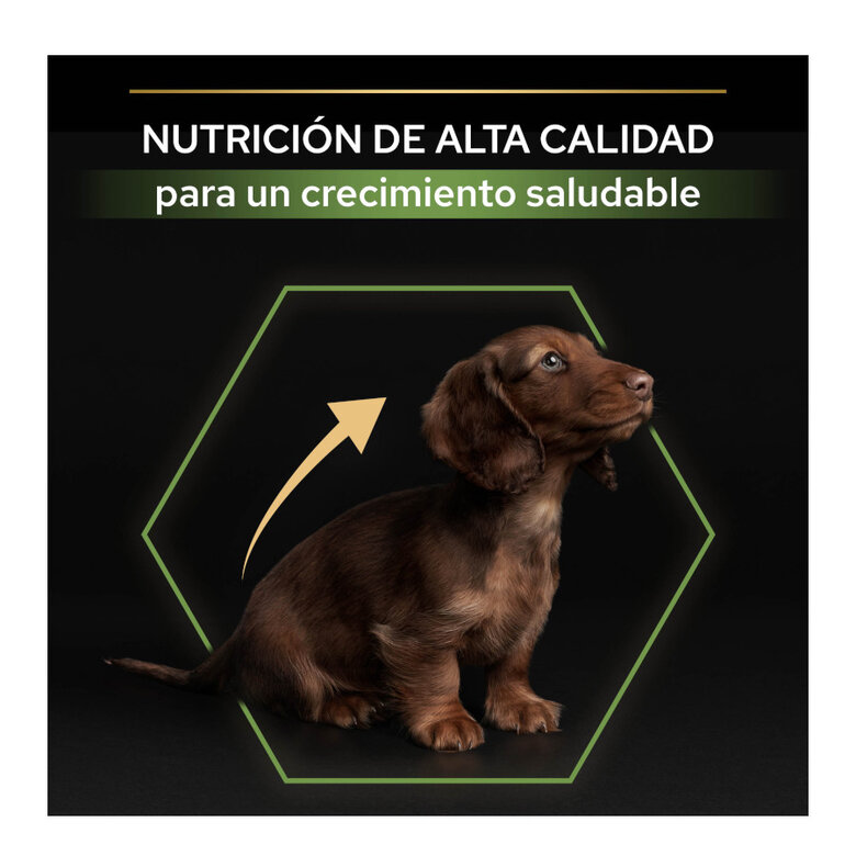 Pro Plan Puppy Small & Mini Healthy Start Frango ração, , large image number null