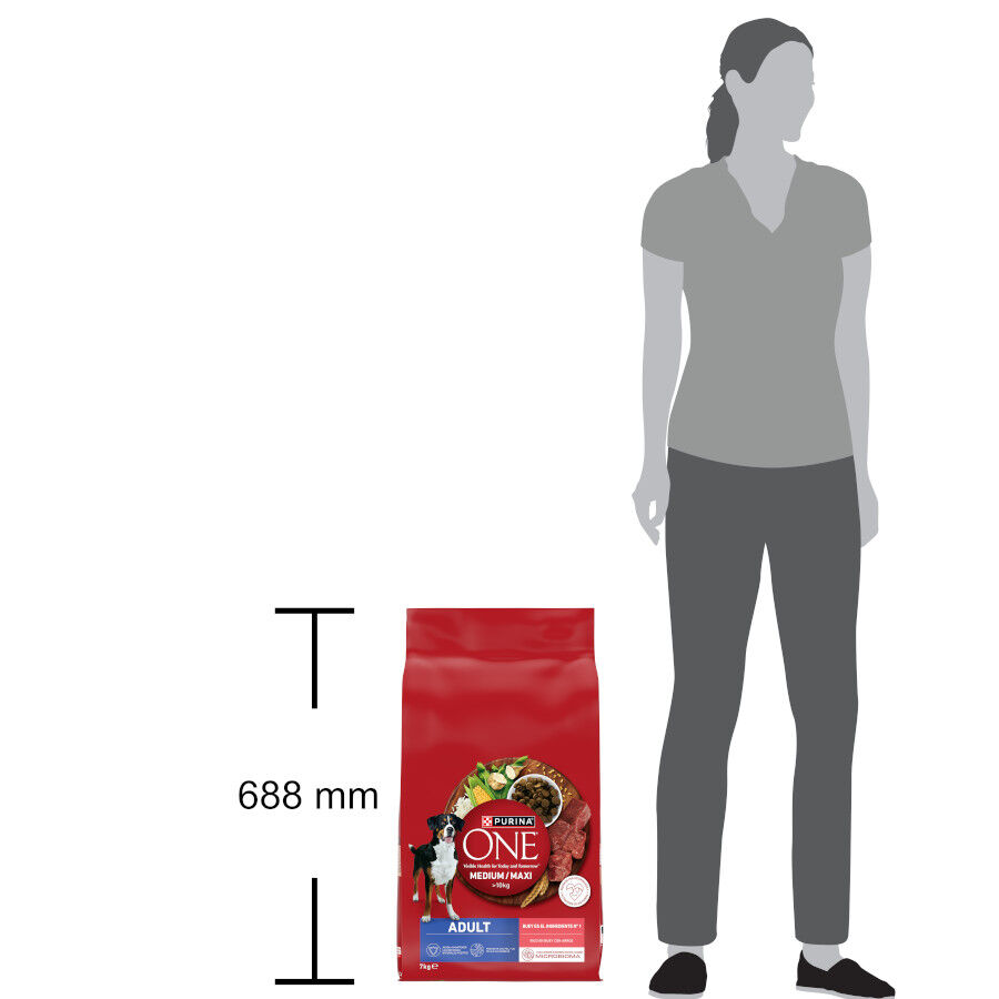 7 kg Purina One Pienso Buey para perros adultos, , large Imagem n&uacute;mero 4