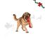Wonder Christmas Bola com Corda Brinquedo para c&atilde;es, , large Indicador imagem n&uacute;mero 1