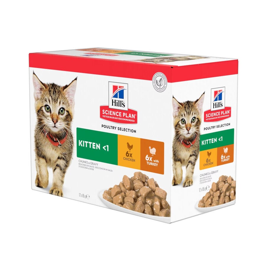 12 saquetas x 85 g Hill's Science Plan Kitten Frango e Peru em Molho Sach&ecirc; para Gatos, , large Imagem n&uacute;mero 1