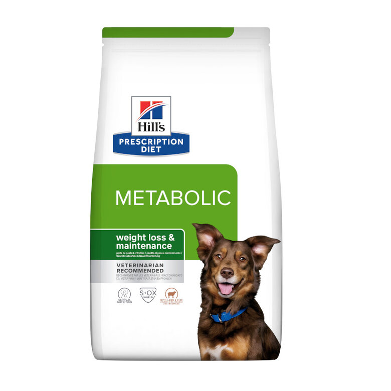 Hill's Prescription Diet Metabolic cordeiro e arroz ração para cães,  Imagem número 1 Hill's Prescription Diet Metabolic cordeiro e arroz ração para cães, , large Imagem número 1