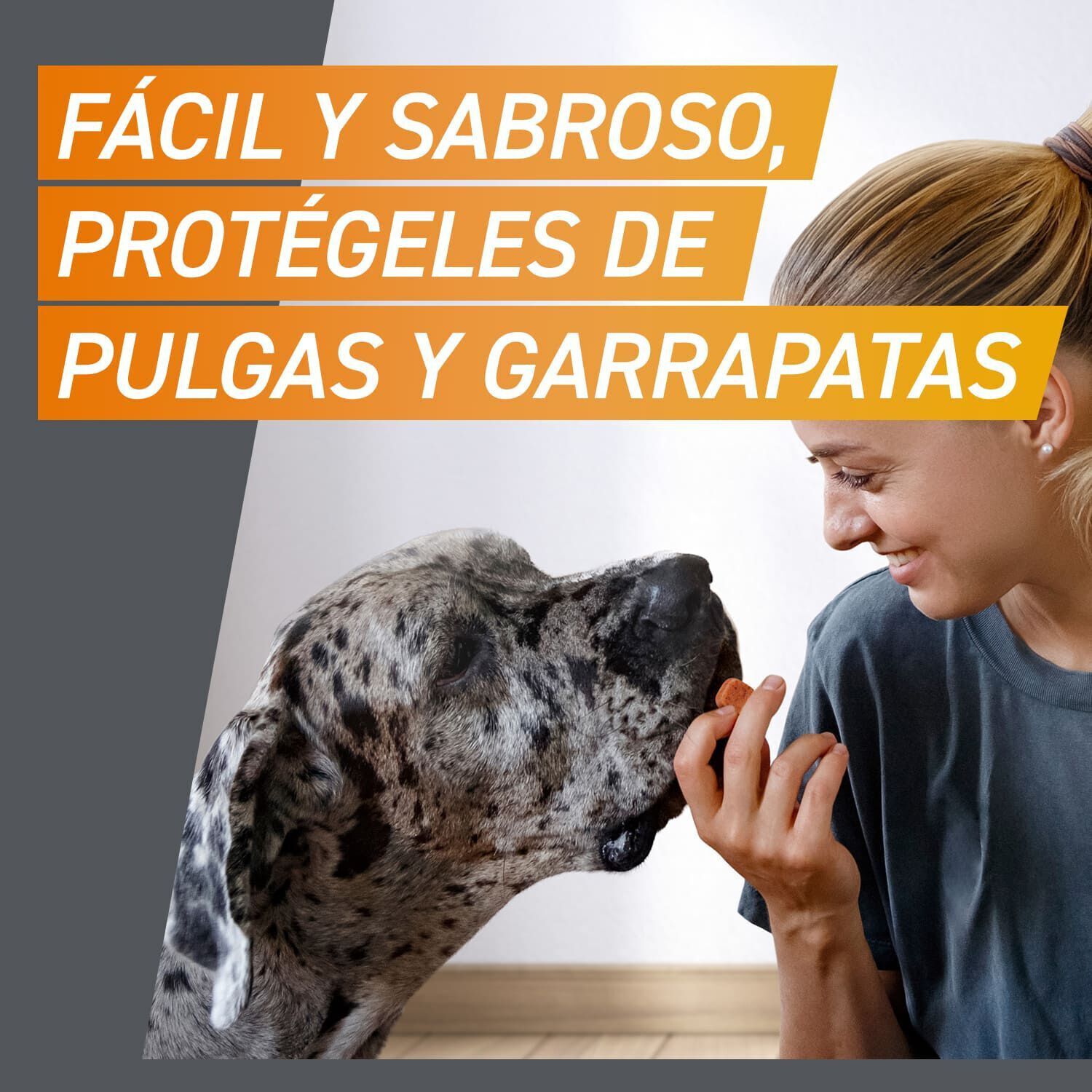 Frontpro Comprimidos Mastig&aacute;veis Antiparasit&aacute;rios para c&atilde;es, , large Imagem n&uacute;mero 2