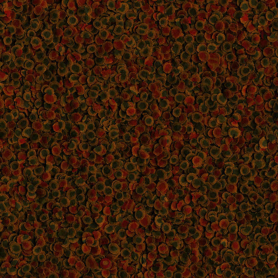 Tetra PRO Energy Multi-Crisps alimento para peixes, , large Imagem n&uacute;mero 2