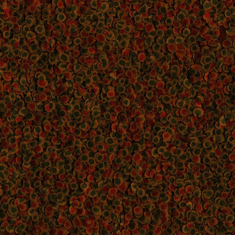 Tetra PRO Energy Multi-Crisps alimento para peixes,  Imagem número 2 Tetra PRO Energy Multi-Crisps alimento para peixes, , large Imagem número 2