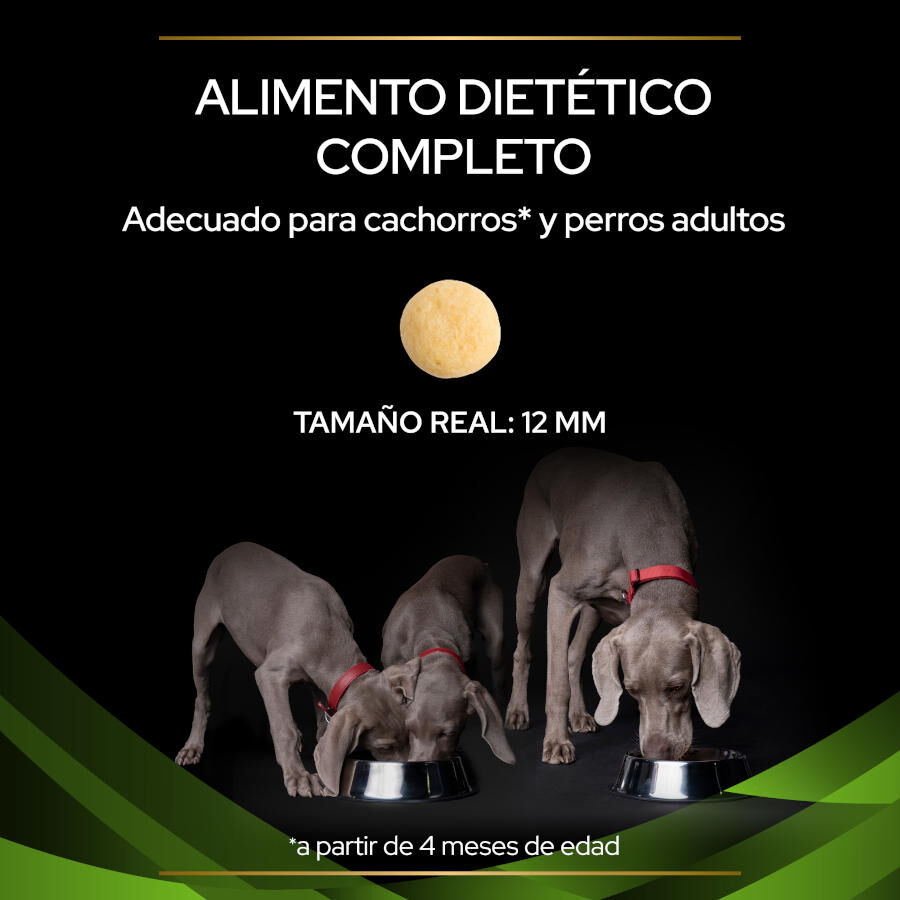 11 kg Pro Plan Veterinary Diets Hypoallergenic HA ra&ccedil;&atilde;o para c&atilde;es, , large Imagem n&uacute;mero 3