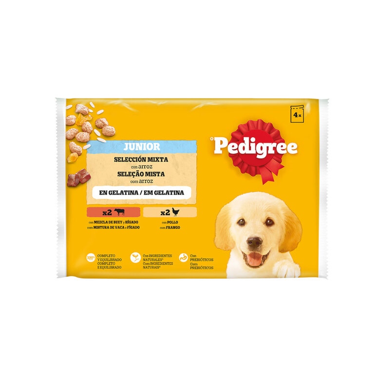 4 saquetas x 100 g Pedigree Alimento húmido de frango e vaca com arroz em saqueta para cachorros,  Imagem número 1 4 saquetas x 100 g Pedigree Alimento húmido de frango e vaca com arroz em saqueta para cachorros, , large Imagem número 1