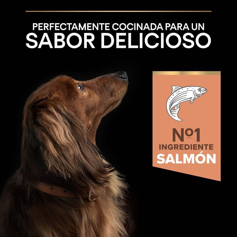 3 kg Pro Plan Adult Small e Mini Salm&atilde;o Peles Sens&iacute;veis ra&ccedil;&atilde;o para c&atilde;es, , large Imagem n&uacute;mero 7