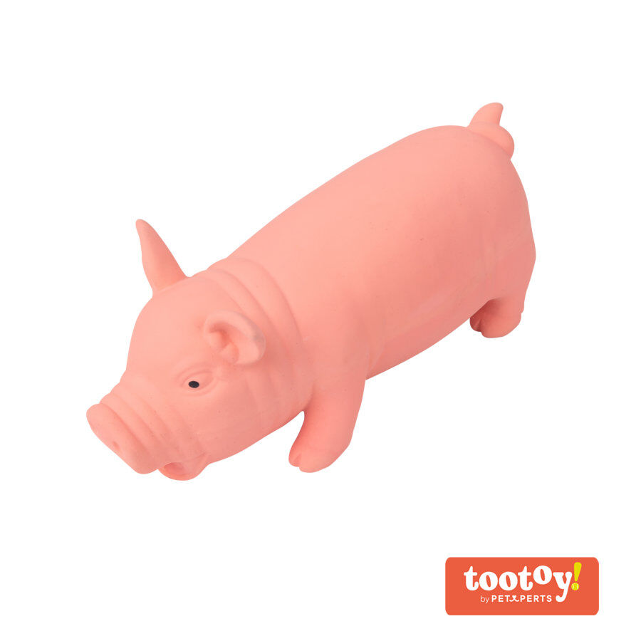 Tootoy! Chew Grunting Pig Mordedor para c&atilde;es, , large Imagem n&uacute;mero 2