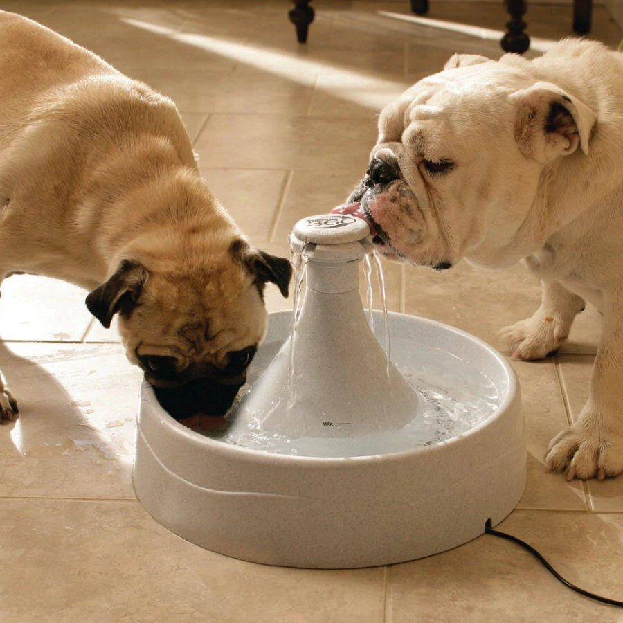 Petsafe Drinkwell Fonte Bebedouro para c&atilde;es e gatos, , large Imagem n&uacute;mero 3