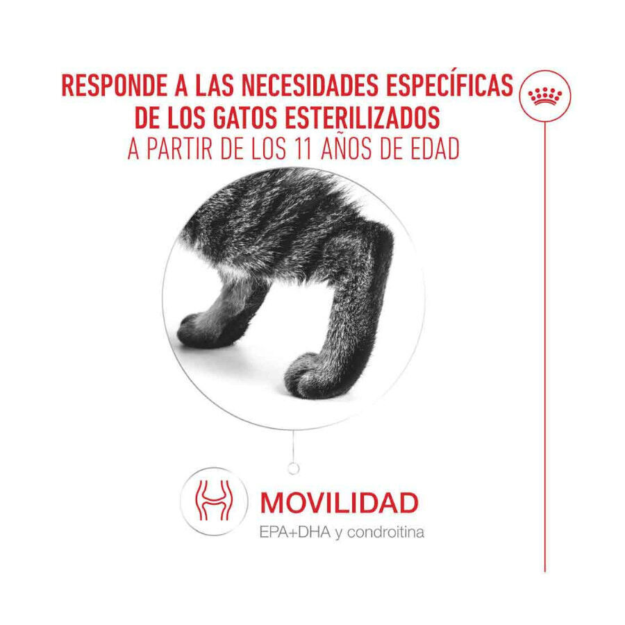 2 kg Royal Canin Ageing 11+ Sterilised ra&ccedil;&atilde;o para gatos, , large Imagem n&uacute;mero 6