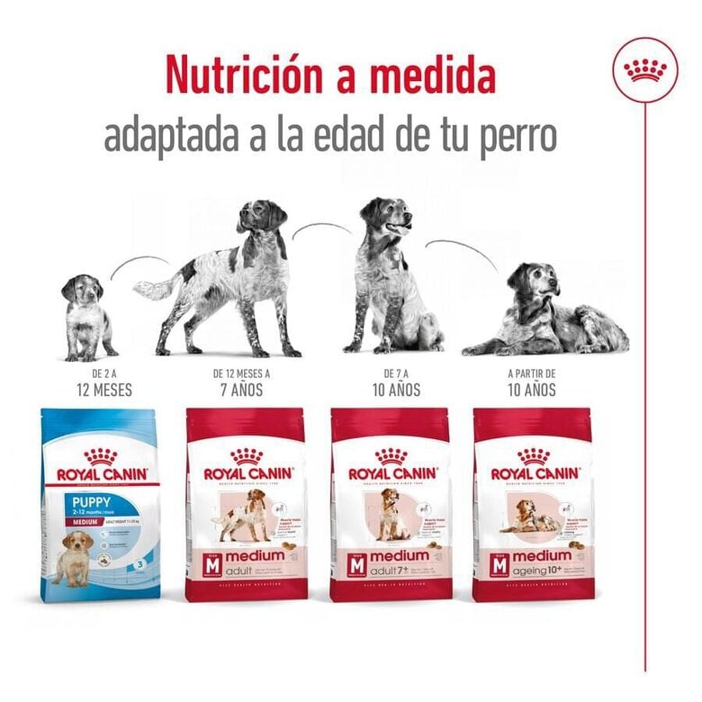 15 kg Royal Canin Medium 7+ Adult ração para cães seniores,  Imagem número 10 15 kg Royal Canin Medium 7+ Adult ração para cães seniores, , large Imagem número 10