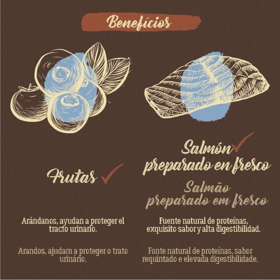 2 kg True Origins Pure Kitten Sem gr&atilde;os Ra&ccedil;&atilde;o para gatinhos com salm&atilde;o, , large Imagem n&uacute;mero 5