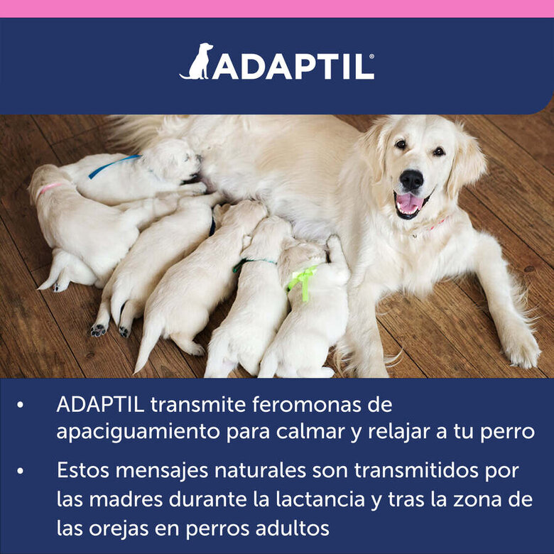 Adaptil Junior Coleira Anti-stress para cães, , large image number null