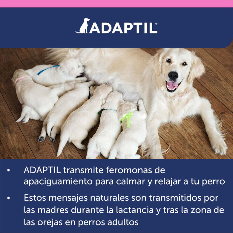 Adaptil Junior Coleira Anti-stress para cães,  Imagem número 11 Adaptil Junior Coleira Anti-stress para cães, , large Imagem número 11