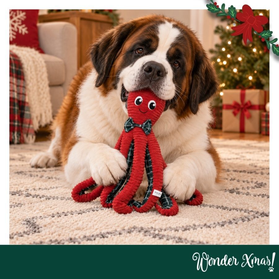 Wonder Christmas Polvo XL Peluche para c&atilde;es, , large Imagem n&uacute;mero 2