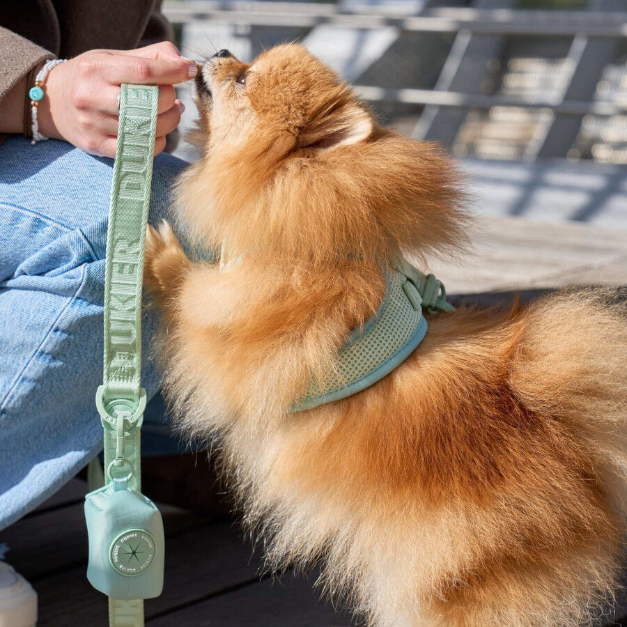 Dukier Trela Cor verde para c&atilde;es, , large Imagem n&uacute;mero 2