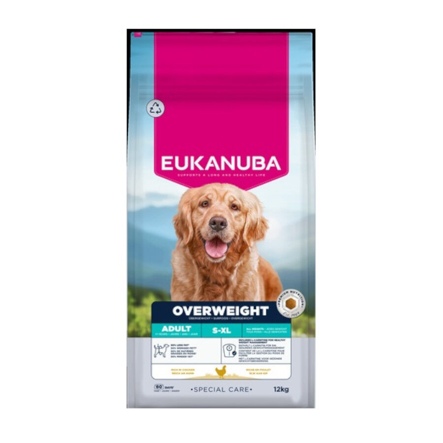 12 kg Eukanuba Adult Daily Care Overweight Sterilized para c&atilde;es, , large Imagem n&uacute;mero 1