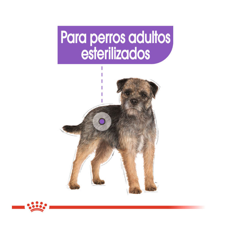 85 g Royal Canin Sterilised Patê em saquetas para cães ,  Imagem número 4 85 g Royal Canin Sterilised Patê em saquetas para cães , , large Imagem número 4