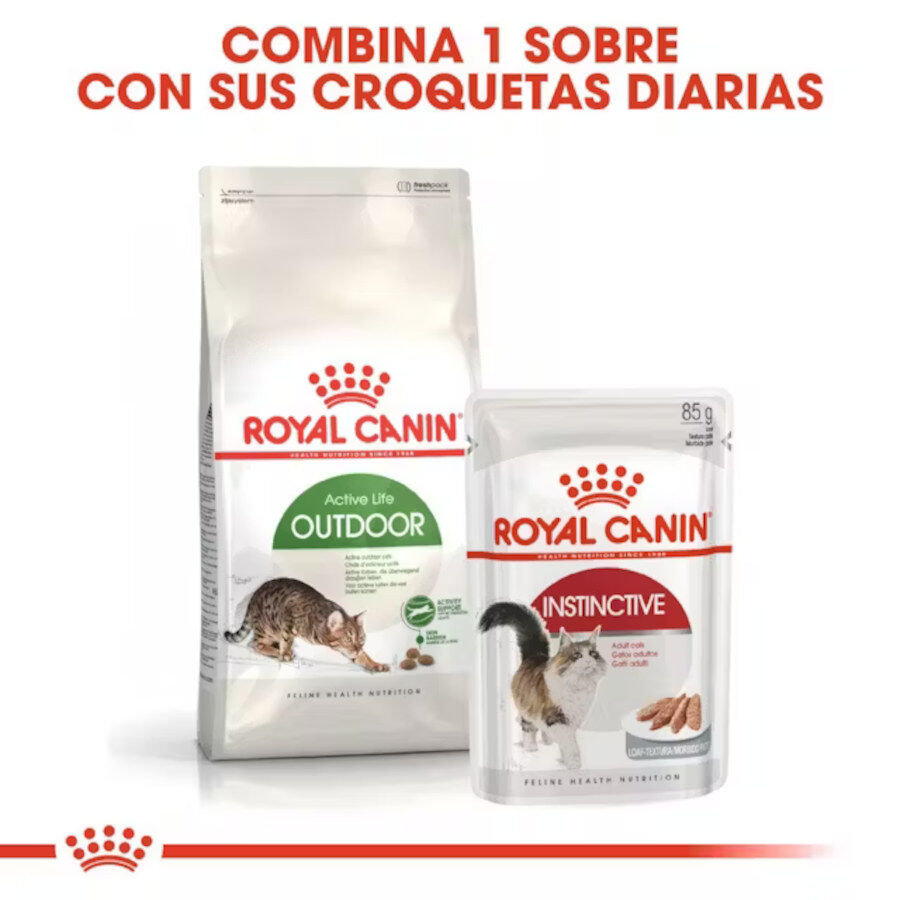10 kg Royal Canin Active Life Outdoor Ra&ccedil;&atilde;o para gatos, , large Imagem n&uacute;mero 7