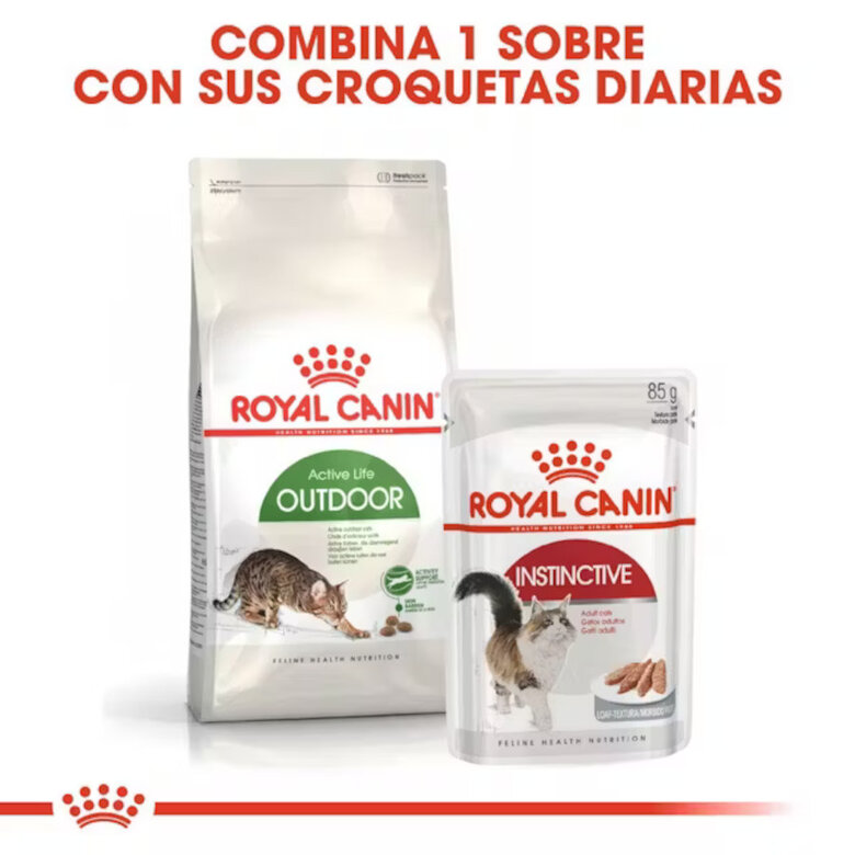 10 kg Royal Canin Active Life Outdoor Ração para gatos,  Imagem número 7 10 kg Royal Canin Active Life Outdoor Ração para gatos, , large Imagem número 7