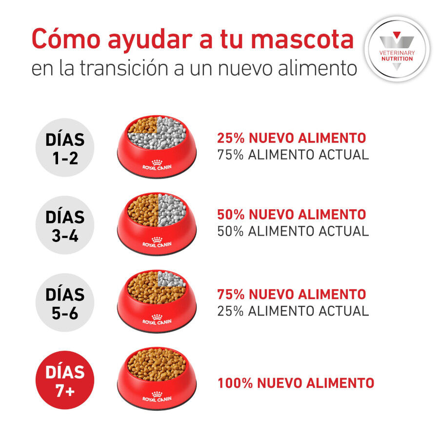 8 kg Royal Canin Glycobalance Ra&ccedil;&atilde;o para c&atilde;es, , large Imagem n&uacute;mero 8