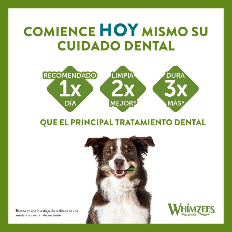14 sticks Whimzees Snacks Dentários Stix para cães de raças medias,  Imagem número 6 14 sticks Whimzees Snacks Dentários Stix para cães de raças medias, , large Imagem número 6