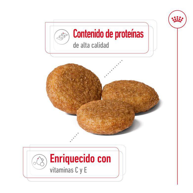 18 kg (15 + 3 kg &iexcl;gratis!) Royal Canin Medium Adult ra&ccedil;&atilde;o para c&atilde;es, , large Imagem n&uacute;mero 6
