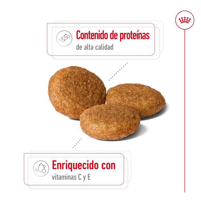 15 kg Royal Canin Medium Adult ração para cães,  Imagem número 6 15 kg Royal Canin Medium Adult ração para cães, , large Imagem número 6