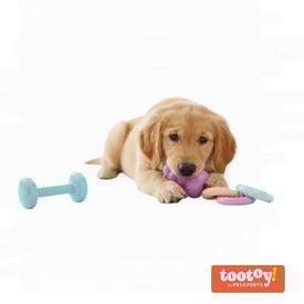 Tootoy! Puppy Caixa de brinquedos para cachorros